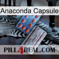 Anaconda Capsule 36